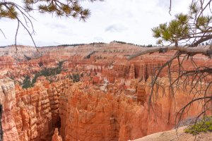 20210427BryceCanyonNP006.jpg