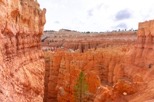 20210427BryceCanyonNP008.jpg