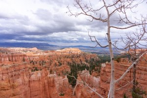 20210427BryceCanyonNP009.jpg