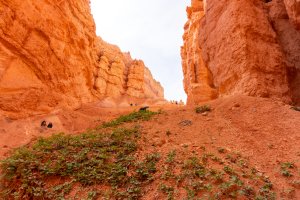 20210427BryceCanyonNP013.jpg