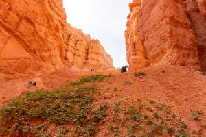 20210427BryceCanyonNP014.jpg