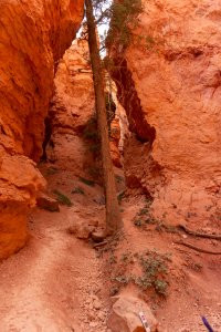20210427BryceCanyonNP016.jpg