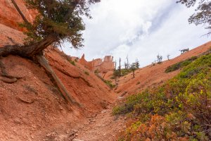 20210427BryceCanyonNP018.jpg