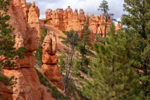 20210427BryceCanyonNP019.jpg