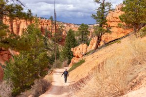 20210427BryceCanyonNP020.jpg