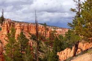 20210427BryceCanyonNP021.jpg