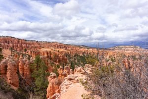 20210427BryceCanyonNP022.jpg