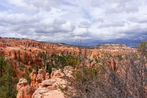 20210427BryceCanyonNP023.jpg