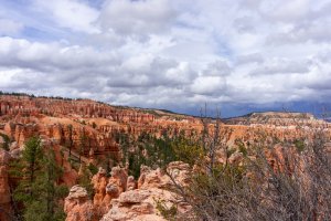 20210427BryceCanyonNP024.jpg