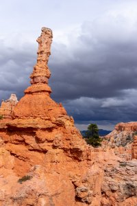 20210427BryceCanyonNP028.jpg