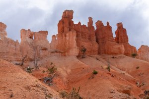 20210427BryceCanyonNP041.jpg