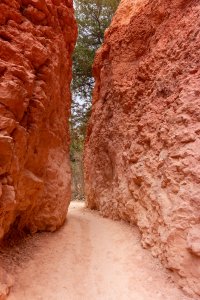 20210427BryceCanyonNP042.jpg