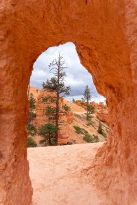20210427BryceCanyonNP043.jpg