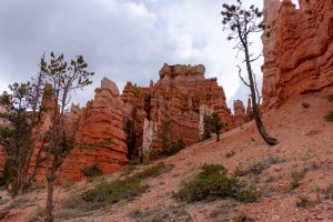 20210427BryceCanyonNP044.jpg
