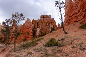 20210427BryceCanyonNP045.jpg