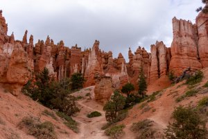 20210427BryceCanyonNP049.jpg