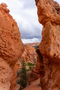 20210427BryceCanyonNP051.jpg