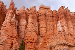 20210427BryceCanyonNP054.jpg