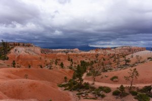 20210427BryceCanyonNP058.jpg