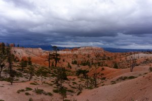 20210427BryceCanyonNP060.jpg