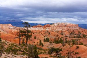20210427BryceCanyonNP061.jpg