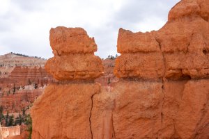 20210427BryceCanyonNP062.jpg