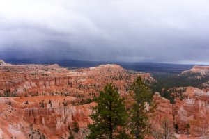 20210427BryceCanyonNP067.jpg