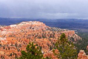 20210427BryceCanyonNP068.jpg