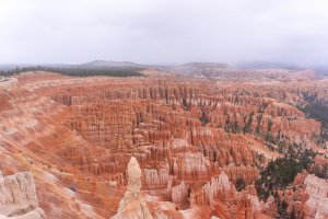 20210427BryceCanyonNP075.jpg