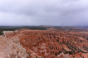 20210427BryceCanyonNP078.jpg