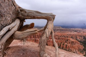 20210427BryceCanyonNP096.jpg