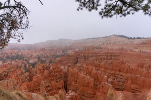 20210427BryceCanyonNP100.jpg
