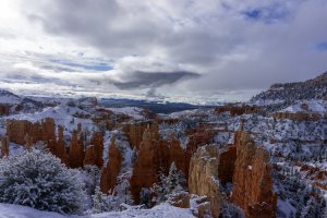 20210427BryceCanyonNP110.jpg