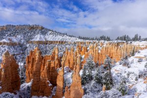 20210427BryceCanyonNP113.jpg