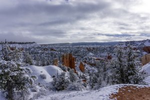 20210427BryceCanyonNP114.jpg