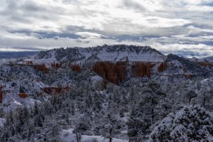 20210427BryceCanyonNP115.jpg