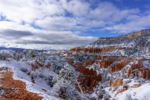 20210427BryceCanyonNP118.jpg