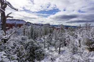 20210427BryceCanyonNP119.jpg