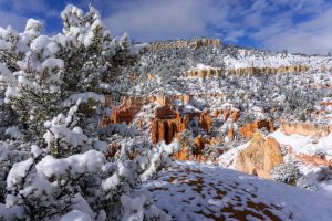 20210427BryceCanyonNP121.jpg