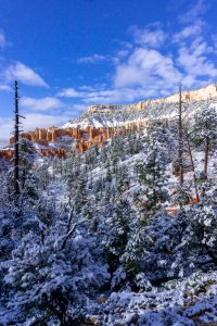 20210427BryceCanyonNP125.jpg