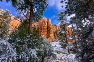 20210427BryceCanyonNP129.jpg