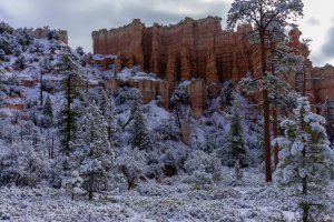 20210427BryceCanyonNP130.jpg
