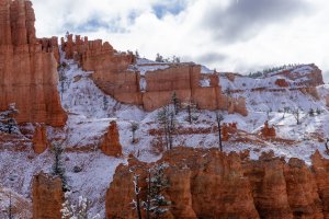 20210427BryceCanyonNP133.jpg