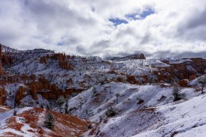 20210427BryceCanyonNP135.jpg