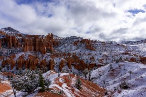 20210427BryceCanyonNP136.jpg