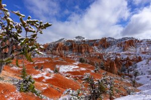 20210427BryceCanyonNP137.jpg