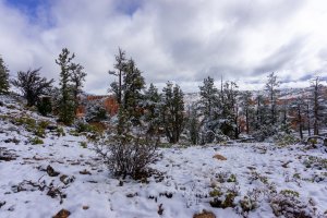 20210427BryceCanyonNP139.jpg