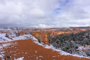 20210427BryceCanyonNP141.jpg