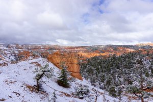20210427BryceCanyonNP142.jpg