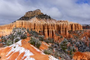 20210427BryceCanyonNP143.jpg
